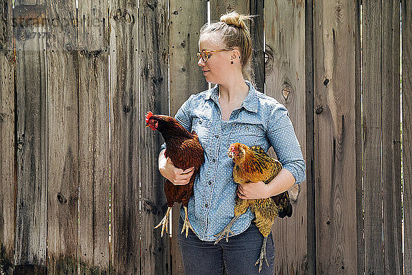 Frau trägt Hühner gegen Holzzaun