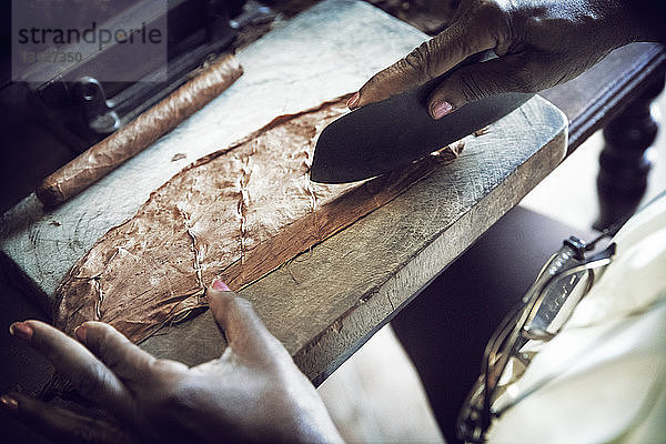 Ausgeschnittenes Bild einer Frau  die während der Zigarrenherstellung in der Fabrik Blätter schneidet