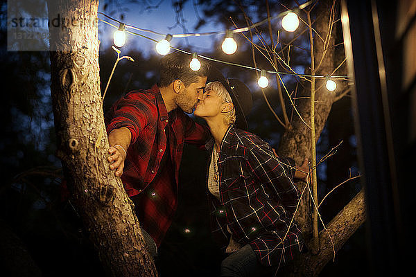 Zärtliches Paar küsst sich im Sitzen auf einem Baum