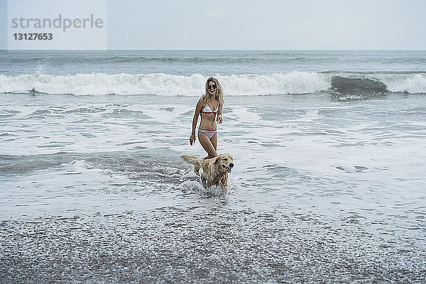Frau und Labrador Retriever gehen an Land im Meer am Strand