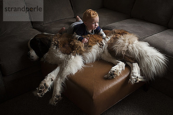 Hochwinkelansicht eines kleinen Jungen  der im Wohnzimmer auf einem Hund liegt