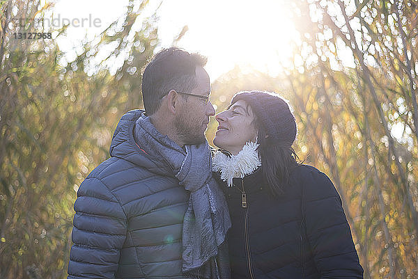 Liebevolles reifes Paar  das warme Kleidung trägt  während es sich am sonnigen Tag auf dem Feld betrachtet