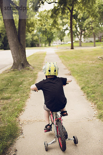 Rückansicht eines radfahrenden Jungen auf einer Straße im Park