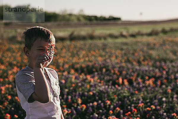Junge hält Blume gegen das Gesicht  während er auf dem Feld steht