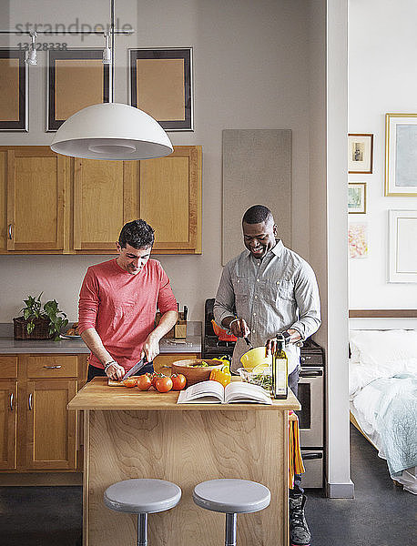 Multi-ethnisches schwules Paar  das zu Hause in der Küche Essen zubereitet