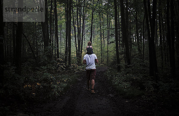 Rückansicht eines Vaters  der seine Tochter auf den Schultern trägt  im Wald