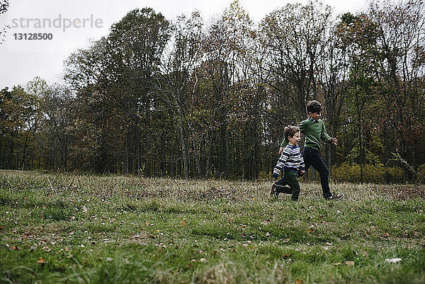 Brüder laufen auf dem Grasfeld des Parks