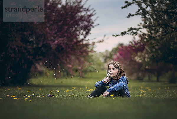 Mädchen bläst Löwenzahnblume  während sie auf einem Grasfeld im Park sitzt