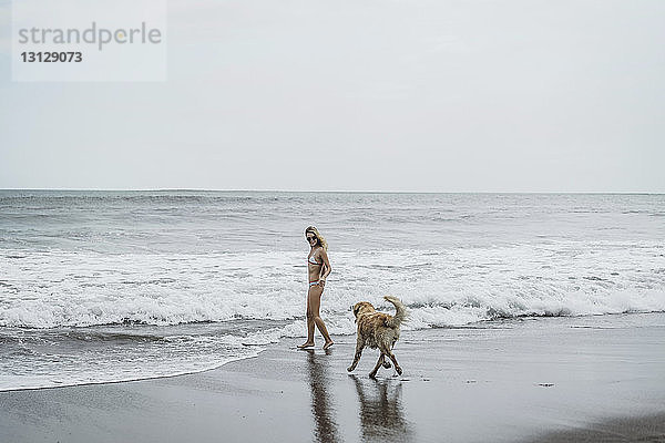 Frau in voller Länge und Labrador Retriever gehen am Strand am Ufer in Richtung Meer