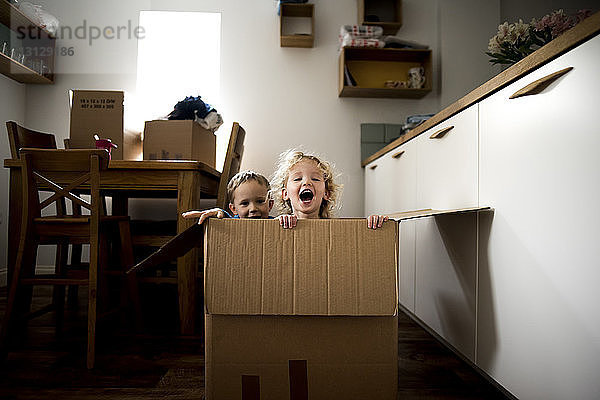 Porträt von fröhlichen Geschwistern  die zu Hause in einem Pappkarton sitzen