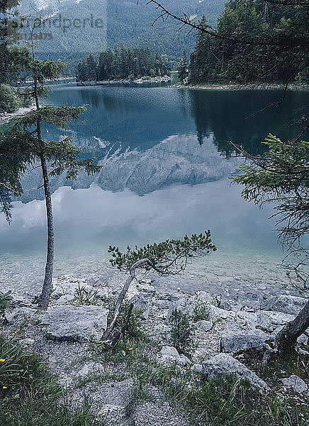 Panoramablick auf ruhigen See im Wald
