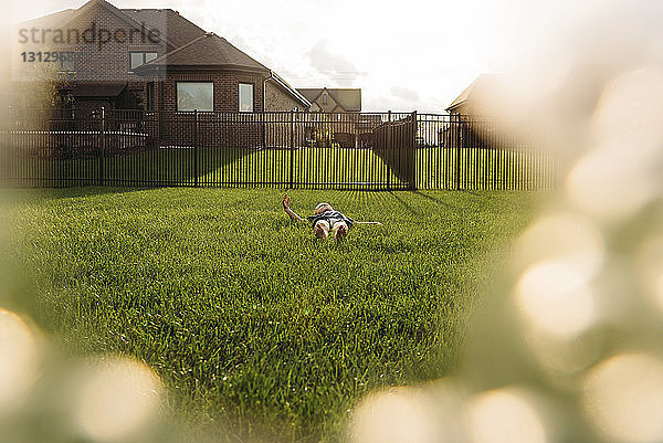 Junge entspannt sich auf Grasfeld im Hinterhof