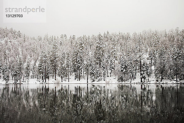 Schneebedeckte Bäume am See gegen den Himmel