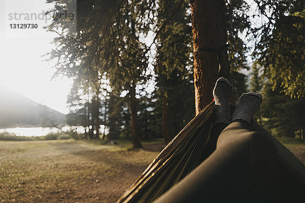 Niedriger Teil der Frau entspannt sich auf einer Hängematte im Wald