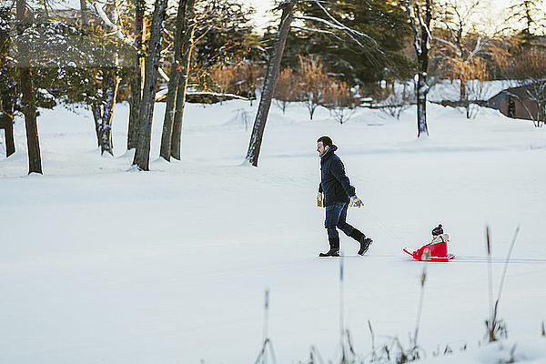 Seitenansicht eines Vaters  der mit seiner Tochter einen Schlitten auf einem schneebedeckten Feld im Park zieht