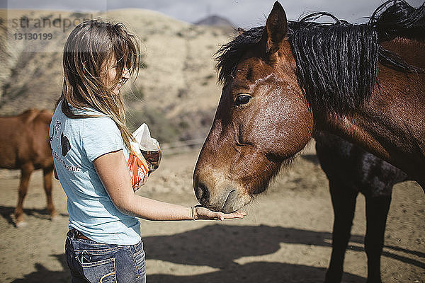 Seitenansicht einer jungen Frau  die ihr Pferd im Stall füttert