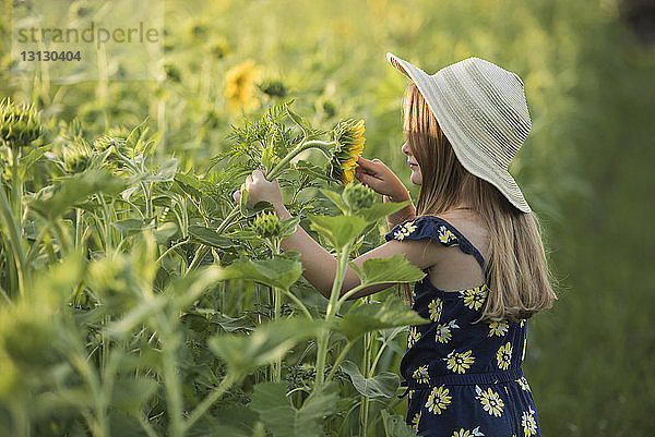 Seitenansicht eines Mädchens mit Hut beim Spiel mit Sonnenblume auf dem Feld