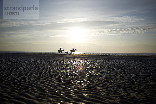 Mitteldistanzansicht der Silhouette von Menschen  die bei Sonnenuntergang auf einer Sandbank gegen den Himmel reiten