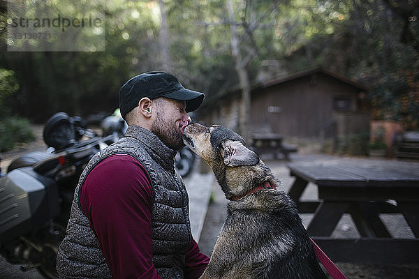 Hund leckt Menschengesicht  während er im Wald sitzt