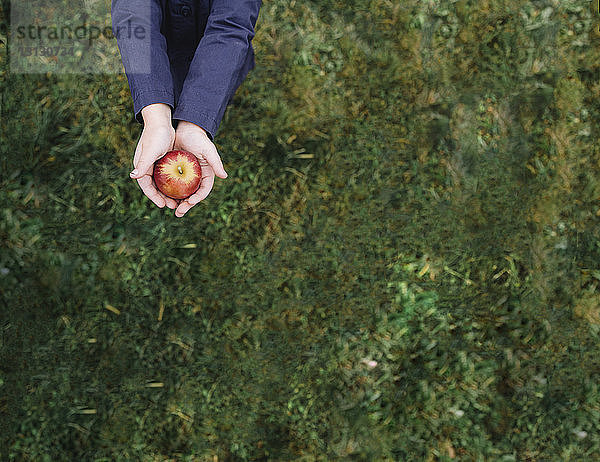 Mädchen in der Mitte hält einen Apfel  während sie auf einem Grasfeld im Obstgarten steht