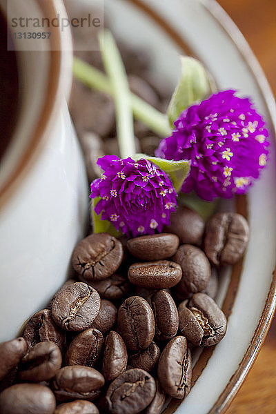 Nahaufnahme von Amaranthblüten auf gerösteten Kaffeebohnen in Untertasse