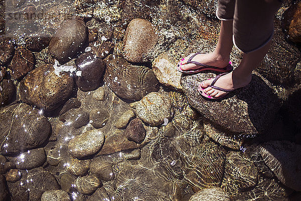 Niedrige Sektion eines Mädchens  das an einem sonnigen Tag auf einem Felsen am Strand steht