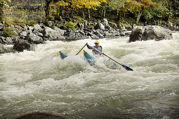 Rafting im Fluss gegen den Wald