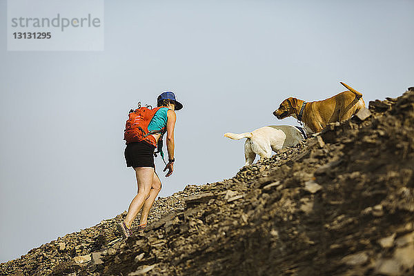 Niedrigwinkelansicht einer Frau mit Hunden  die gegen klaren Himmel auf einen Berg klettert