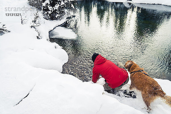 Rückansicht eines Mannes mit Golden Retriever am Seeufer im Wald