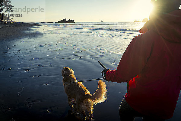 Rückansicht eines Wanderers mit Golden Retriever beim Spaziergang am Ruby Beach bei Sonnenuntergang