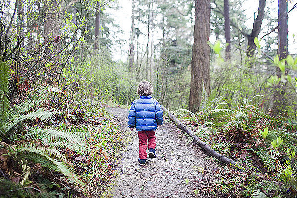 Rückansicht eines Jungen  der auf einem Feldweg inmitten von Bäumen im Wald läuft