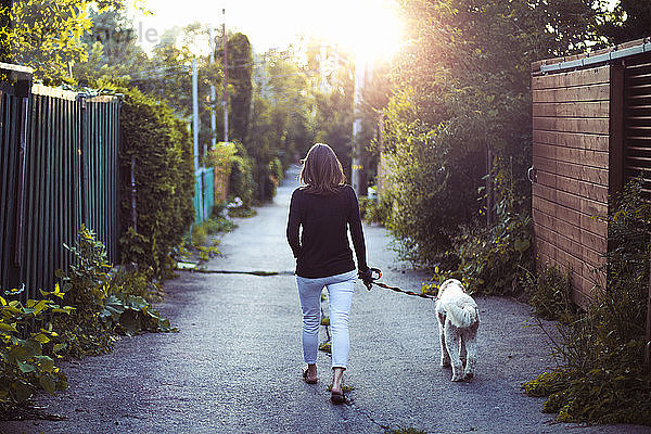 Rückansicht einer Frau mit Hund beim Spaziergang auf einem Fußweg