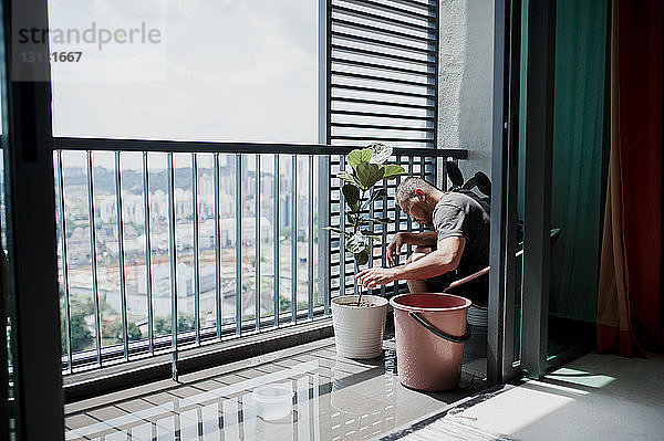 Seitenansicht eines Mannes mit Pflanze auf dem Balkon sitzend