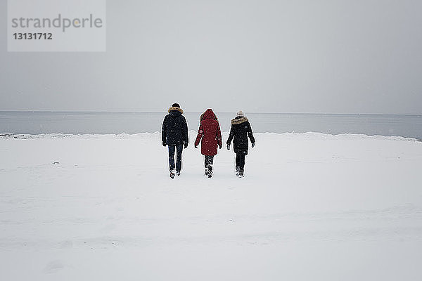 Rückansicht von Freunden  die am schneebedeckten Strand gegen den Himmel laufen