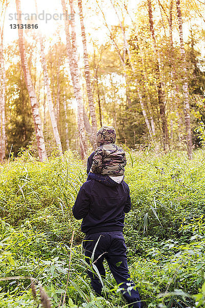 Rückansicht eines Vaters  der seinen Sohn beim Waldspaziergang auf den Schultern trägt