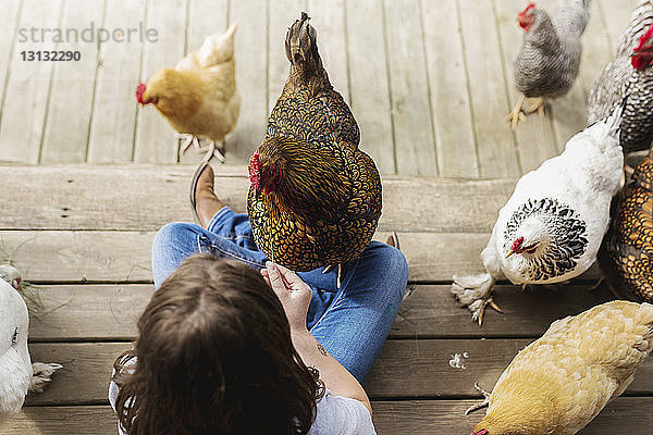 Draufsicht auf ein Mädchen  das mit Hühnern in freier Wildbahn spielt