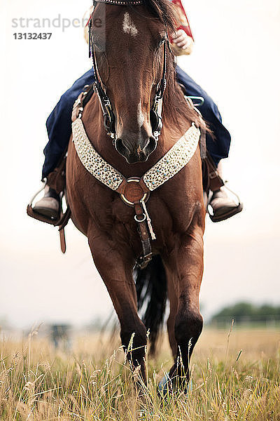 Niedriger Abschnitt eines Mädchens auf einem Reitpferd auf einem Grasfeld