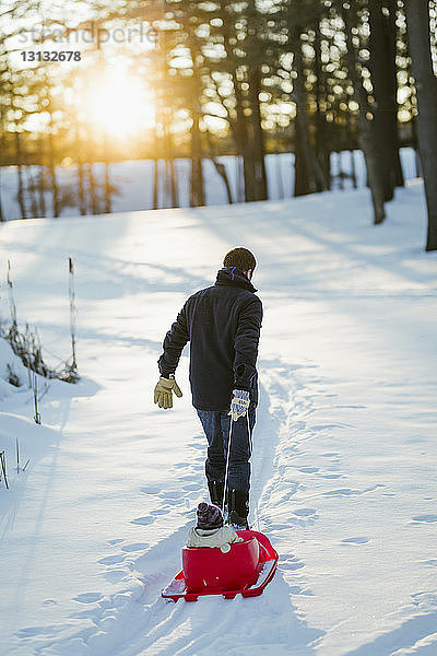 Rückansicht eines Vaters  der mit seiner Tochter einen Schlitten auf einem schneebedeckten Feld im Park zieht