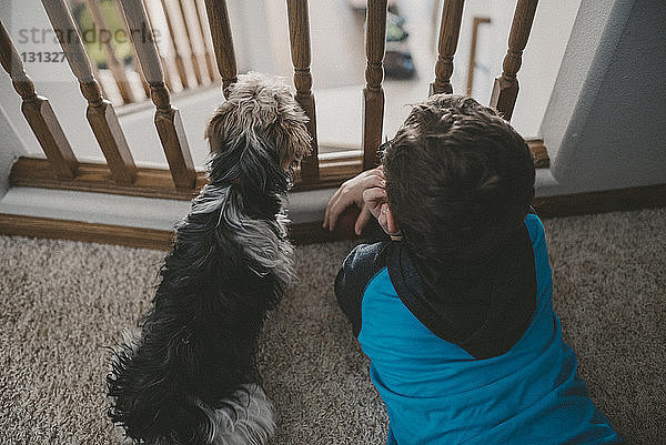 Schrägansicht eines Jungen mit Yorkshire Terrier  der durch das Geländer schaut  während er zu Hause auf dem Teppich liegt