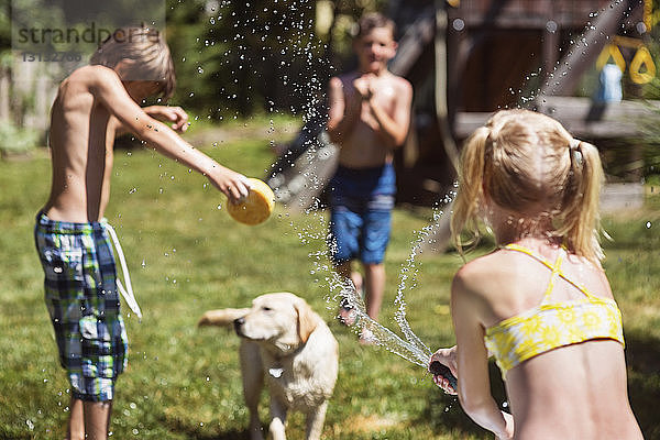 Rückansicht eines Mädchens  das im Hinterhof Wasser auf Hund und Freunde spritzt