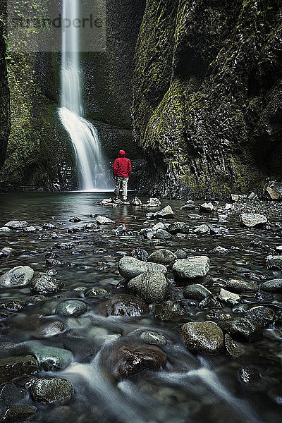 Rückansicht eines Mannes auf dem Weg zum Wasserfall im Wald