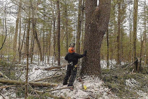 Holzfäller in voller Länge schaut auf  während er im Wald an einem Baum steht