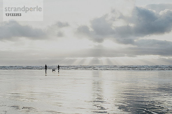 Silhouettenmenschen mit Strandhund bei Sonnenuntergang