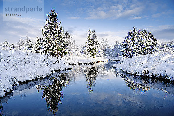 Landschaftliche Ansicht von Bäumen am Bach inmitten eines schneebedeckten Feldes