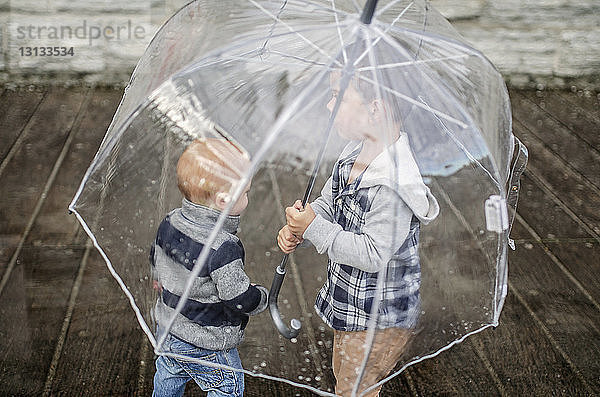 Brüder unter durchsichtigem Regenschirm  die während der Regenzeit auf dem Gehweg stehen