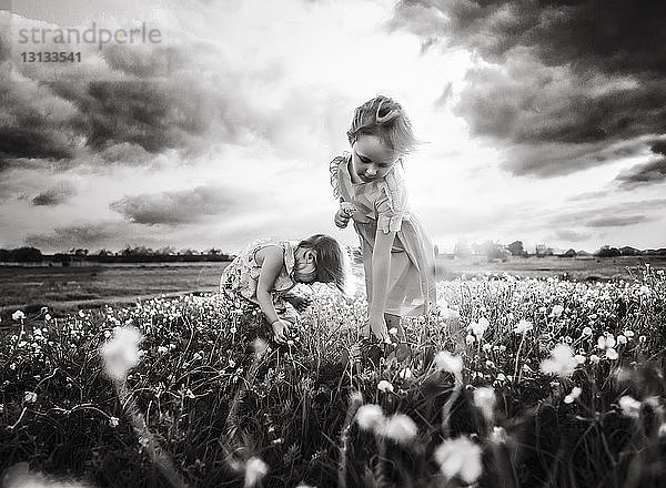 Schwestern pflücken Blumen  während sie auf dem Feld vor bewölktem Himmel stehen