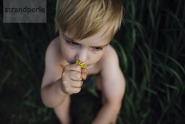 Hochwinkelaufnahme eines Jungen ohne Hemd  der im Park an einer Blume riecht