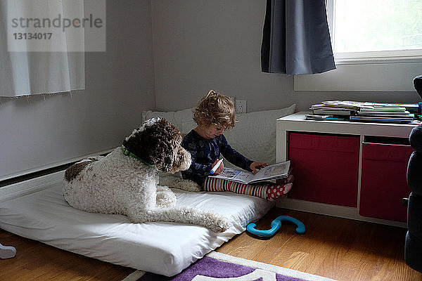 Mädchen lernt  während sie zu Hause mit Hund auf einer Matratze sitzt