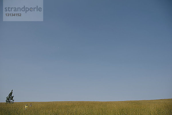 Fernsicht von Geschwistern auf Grasfeld vor blauem Himmel