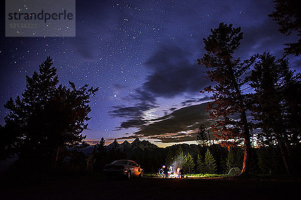 Camping inmitten von Bäumen im Wald gegen den nächtlichen Sternenhimmel
